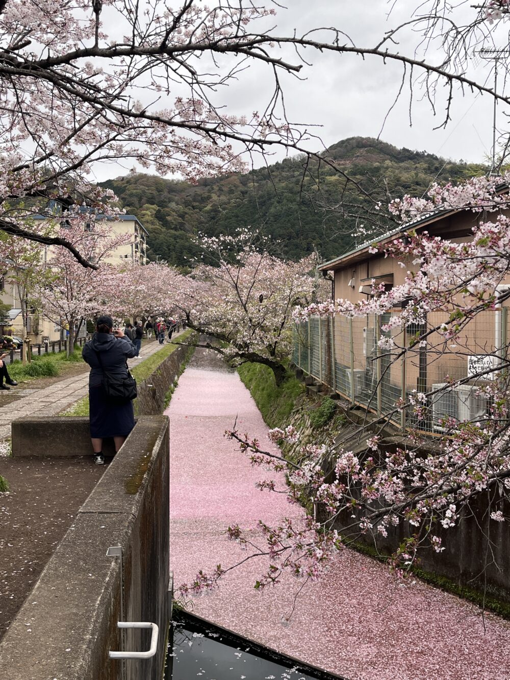 2026年春の日々
